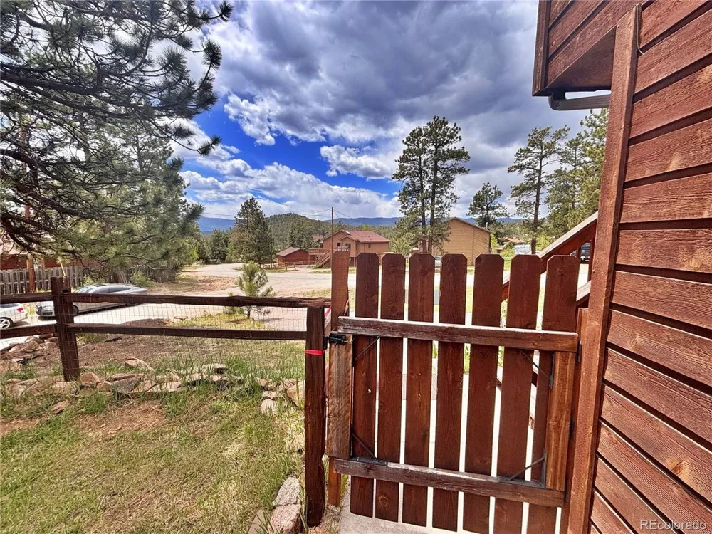 17 Silver Springs Road Bailey, CO 80421