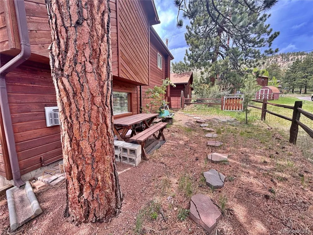 17 Silver Springs Road Bailey, CO 80421