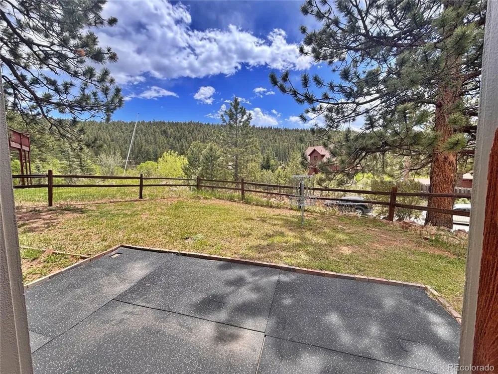 17 Silver Springs Road Bailey, CO 80421