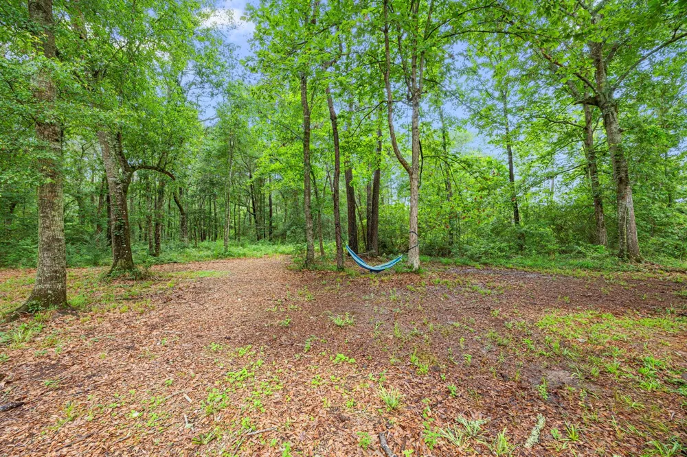 9660 Fostoria Road Cleveland, TX 77328