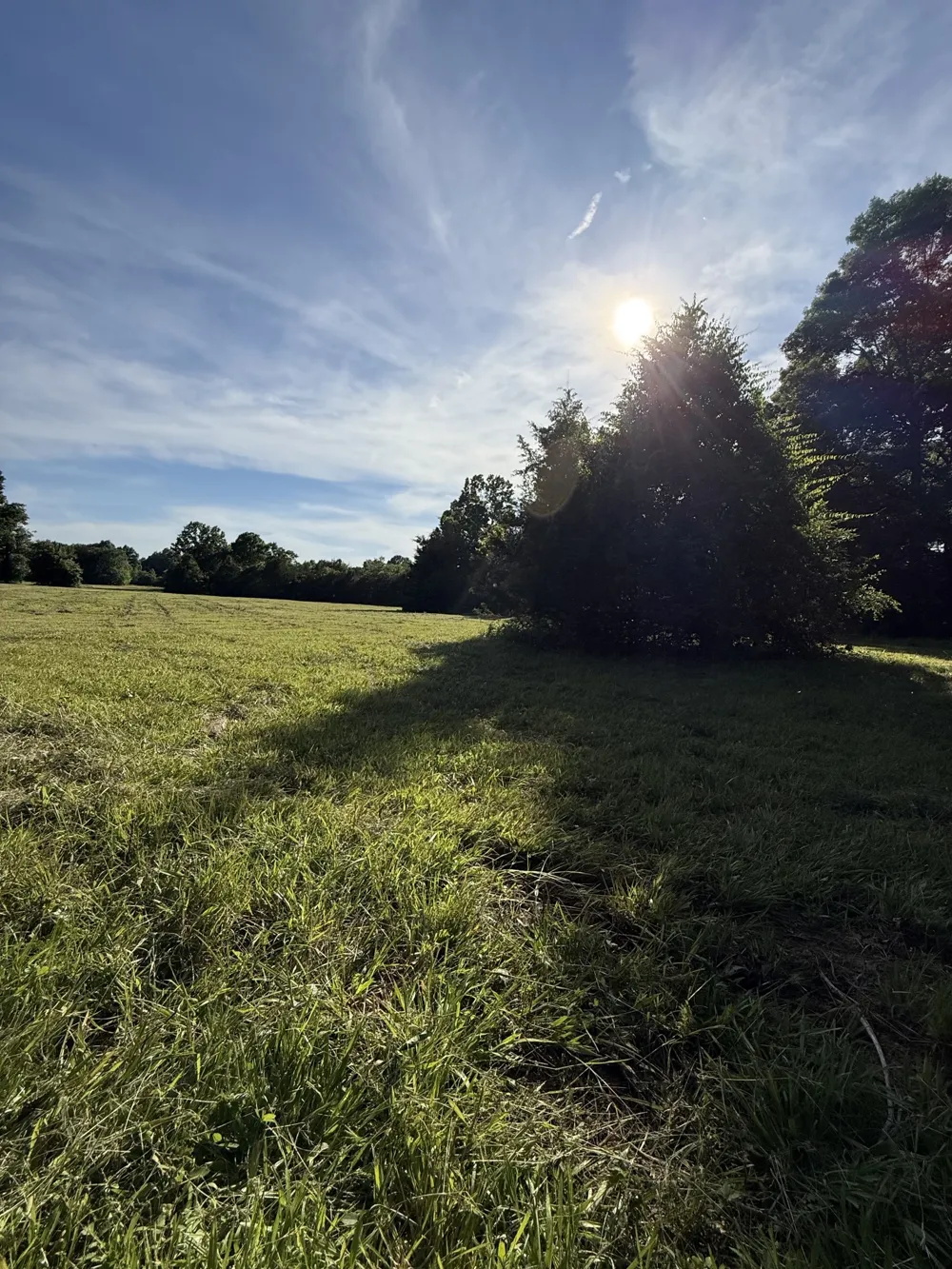 1988 Fayetteville Hwy Belfast, TN 37019