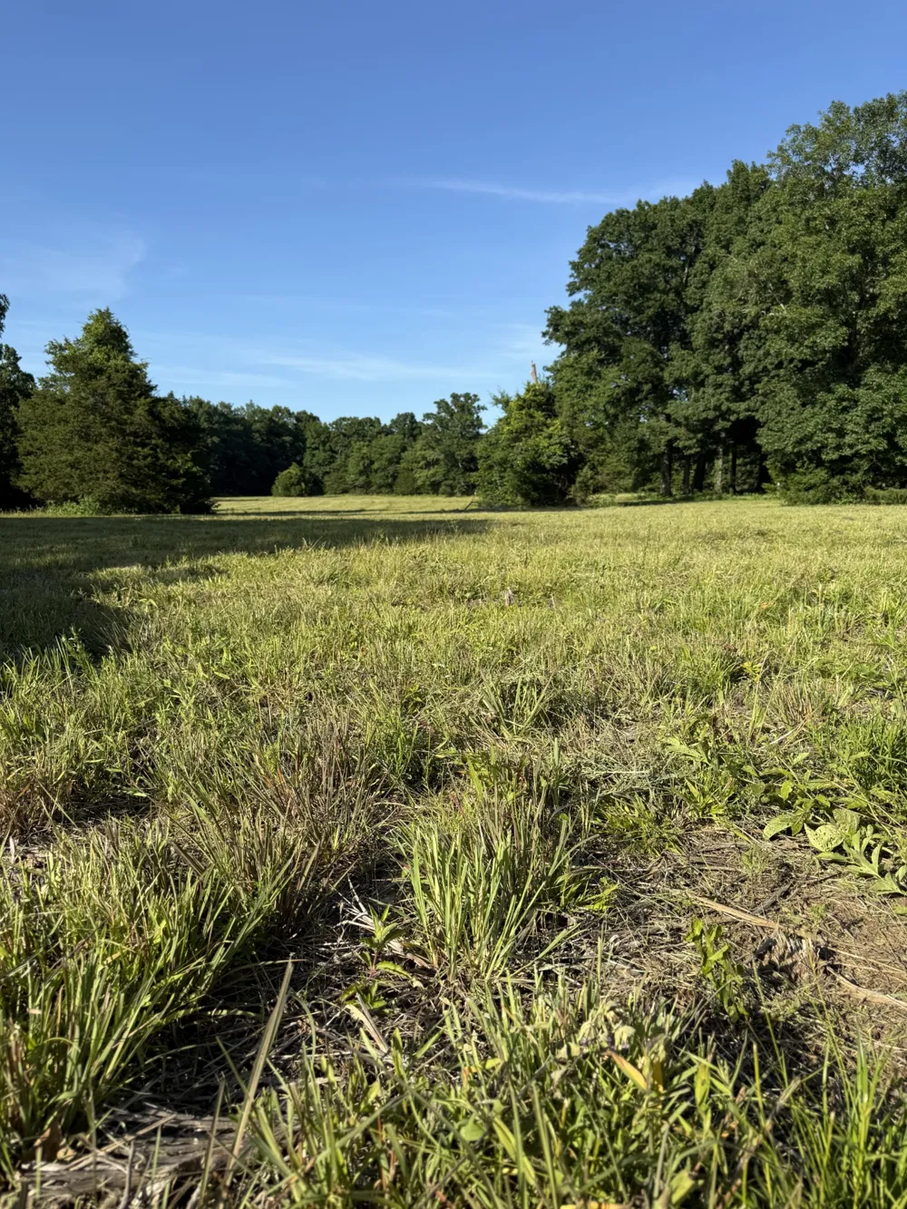 1988 Fayetteville Hwy Belfast, TN 37019