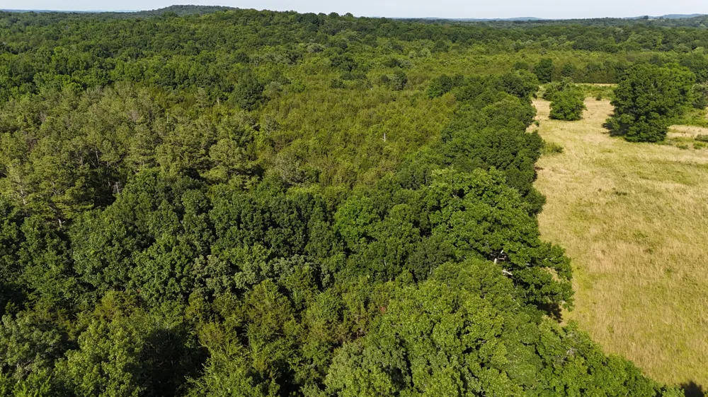 1988 Fayetteville Hwy Belfast, TN 37019