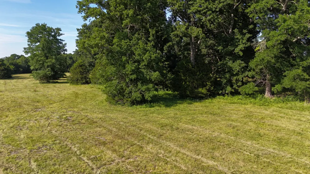 1988 Fayetteville Hwy Belfast, TN 37019