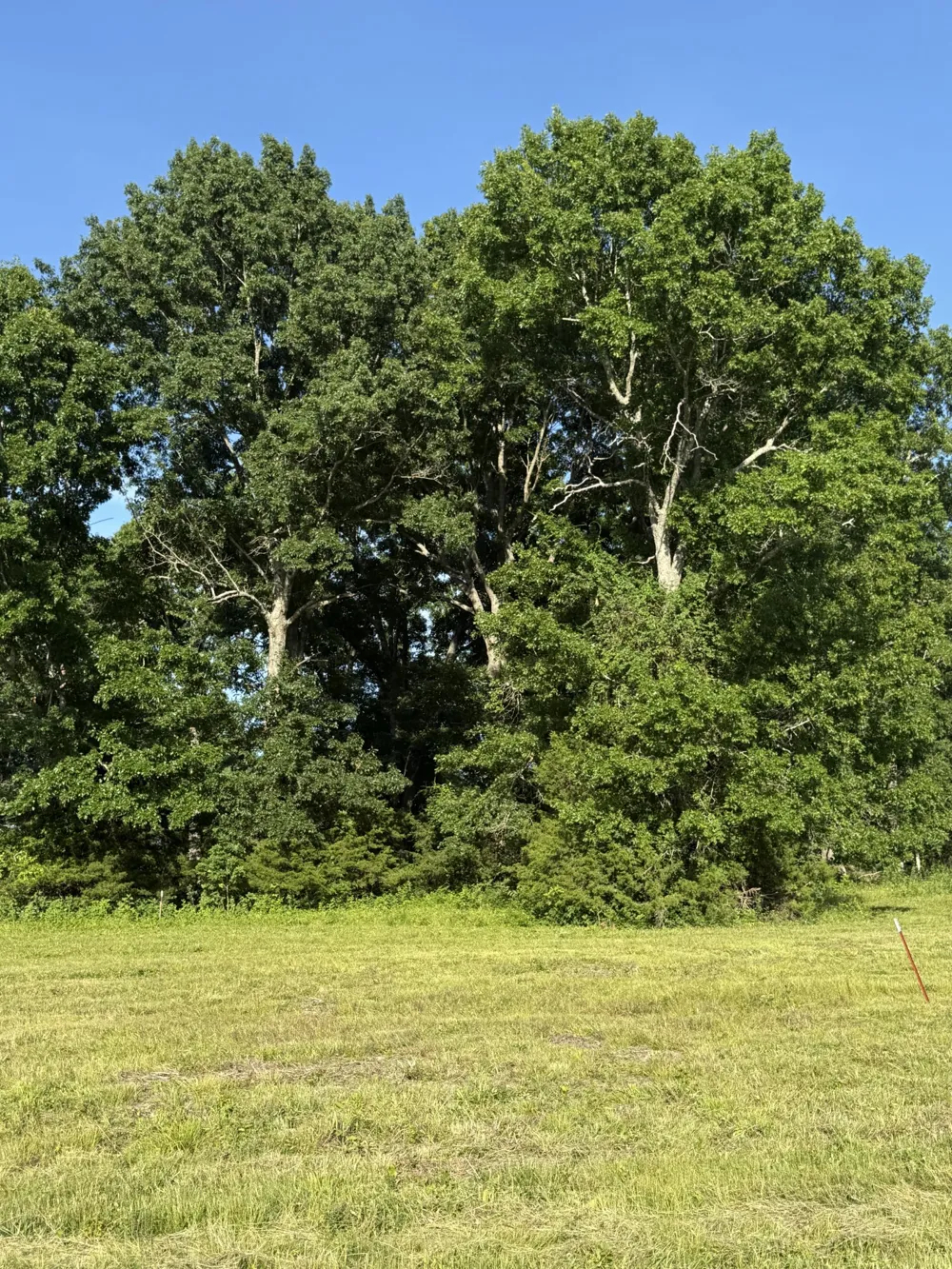 1988 Fayetteville Hwy Belfast, TN 37019