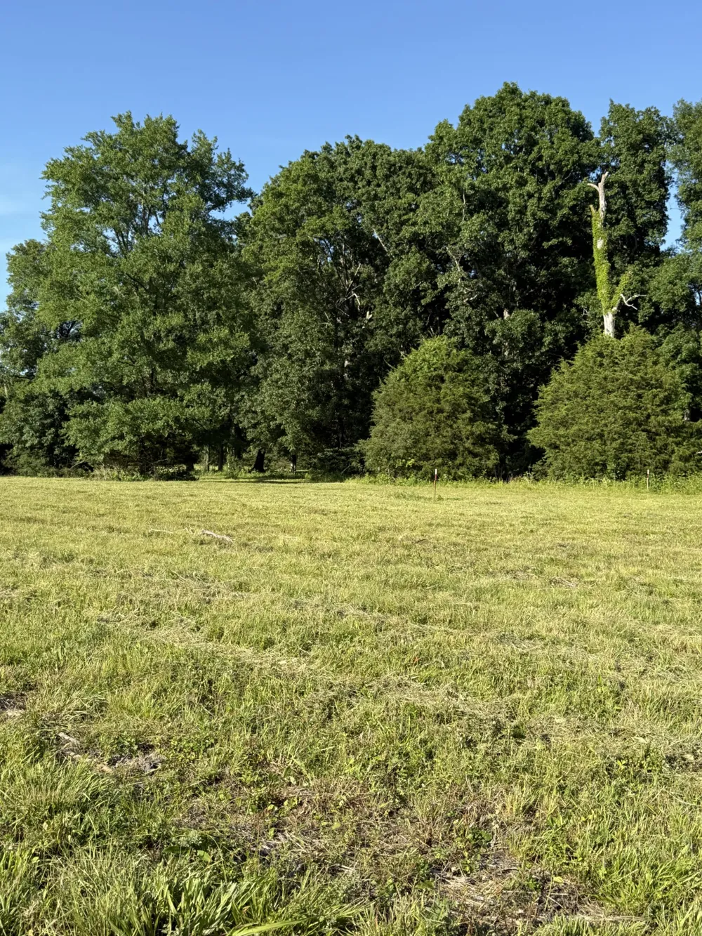 1988 Fayetteville Hwy Belfast, TN 37019