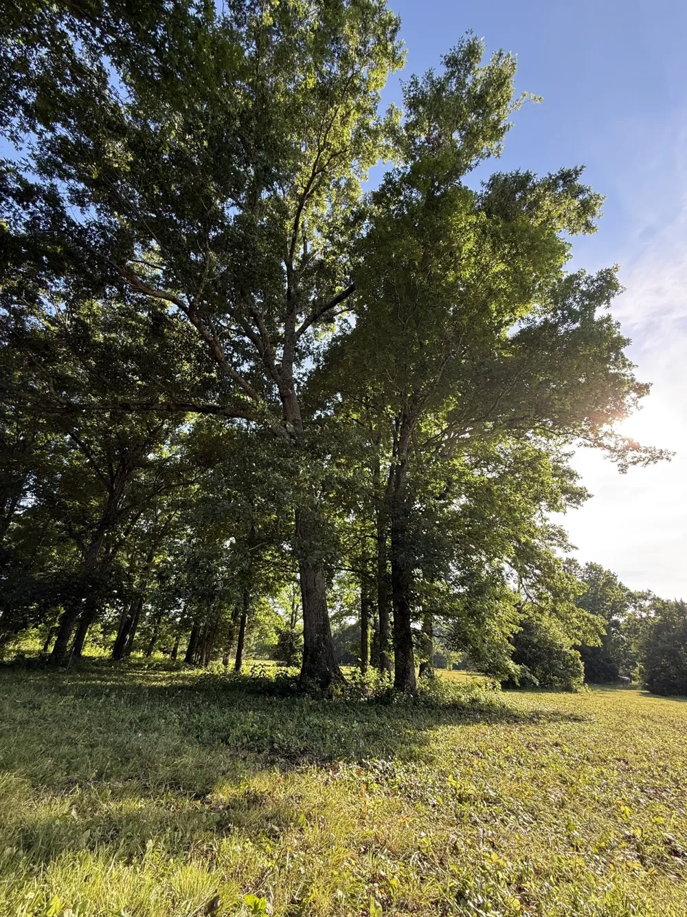 1988 Fayetteville Hwy Belfast, TN 37019