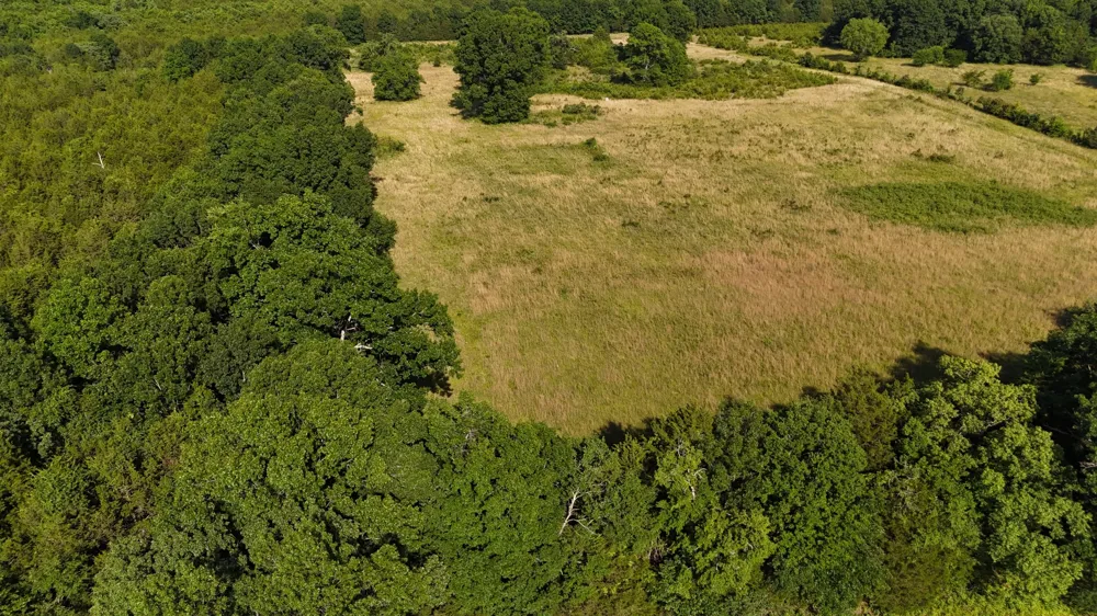 1988 Fayetteville Hwy Belfast, TN 37019