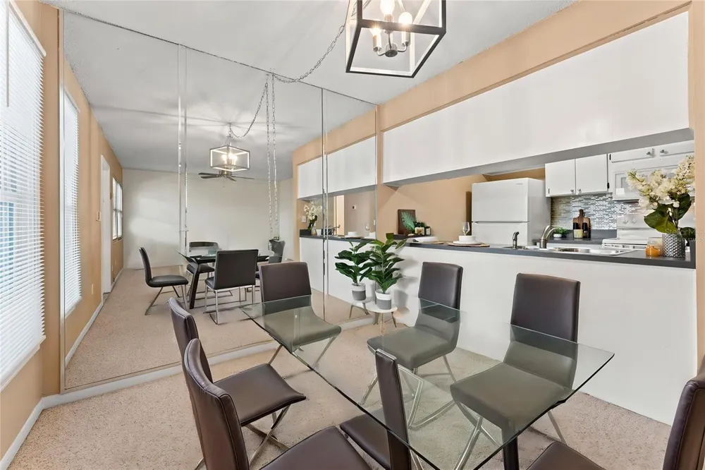 527 S LINCOLN AVENUE #A208 Tampa, FL 33609