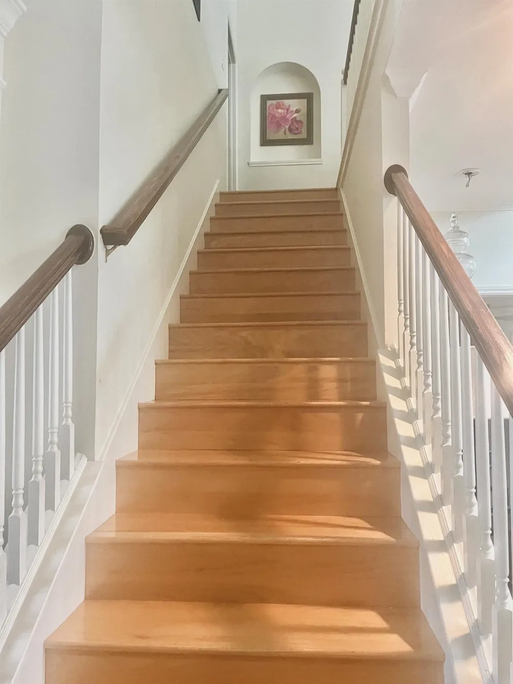 308 Pinnacle Cove Court League City, TX 77573