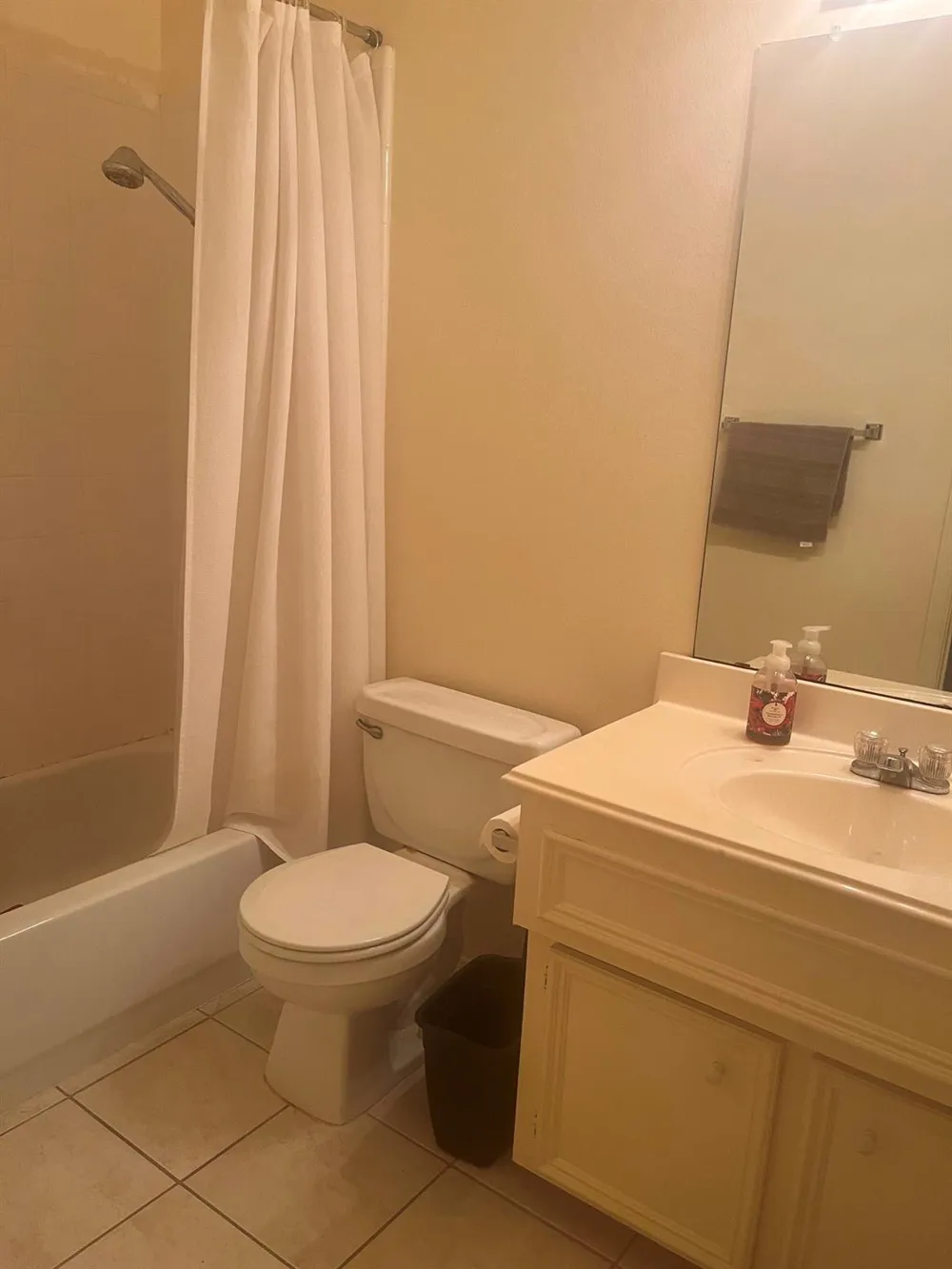 308 Pinnacle Cove Court League City, TX 77573