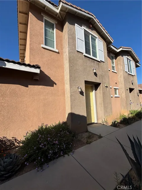 824 Coriander #504