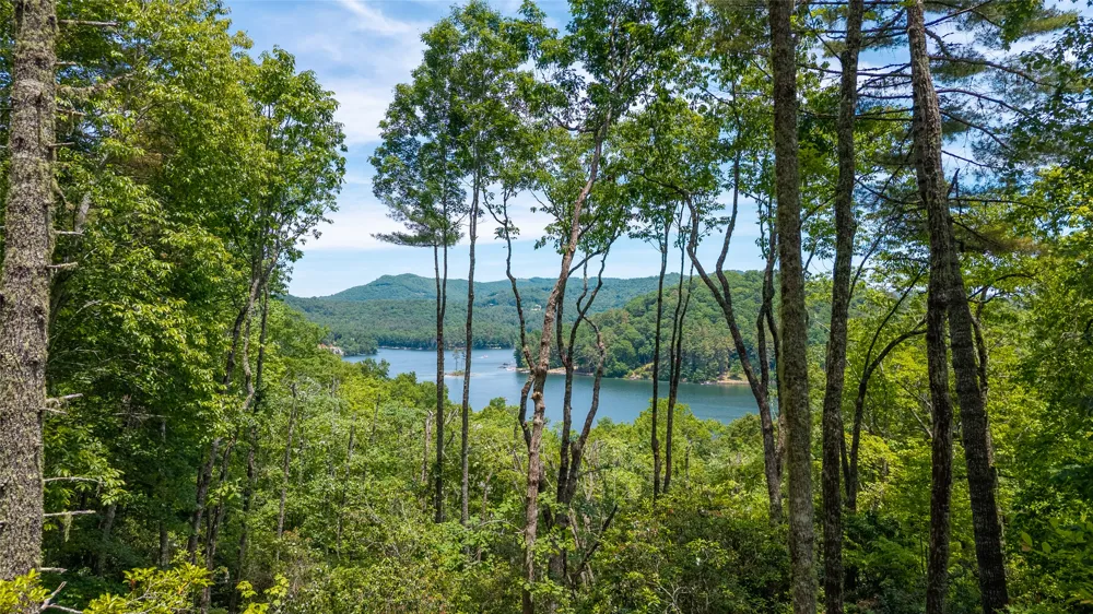 33 Summer Hill Road Cullowhee, NC 28723
