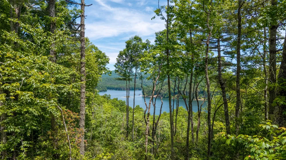 33 Summer Hill Road Cullowhee, NC 28723