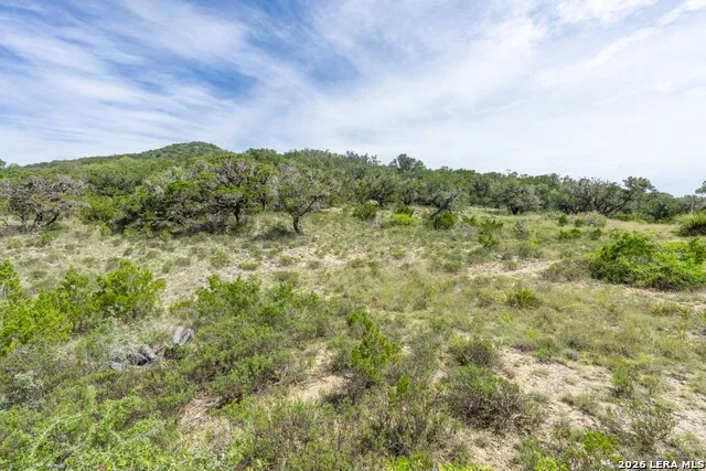 447 Blesssing Lane Utopia, TX 78884