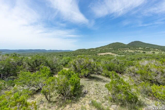 447 Blesssing Lane Utopia, TX 78884