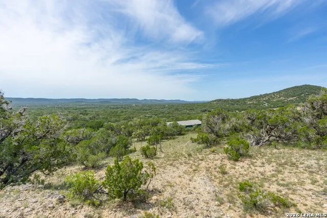 447 Blesssing Lane Utopia, TX 78884