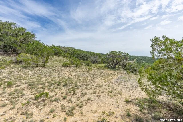 447 Blesssing Lane Utopia, TX 78884