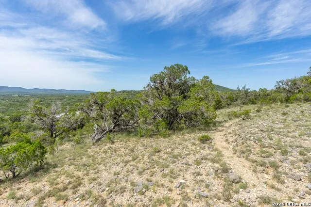 447 Blesssing Lane Utopia, TX 78884