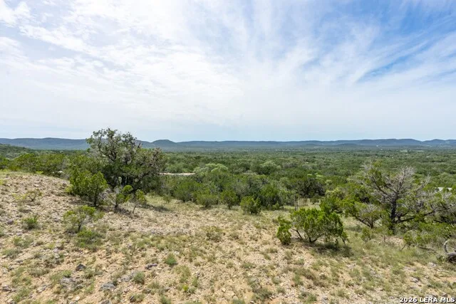 447 Blesssing Lane Utopia, TX 78884