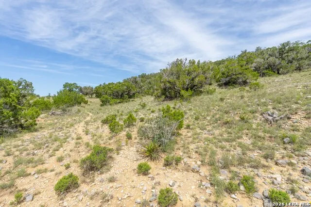 447 Blesssing Lane Utopia, TX 78884