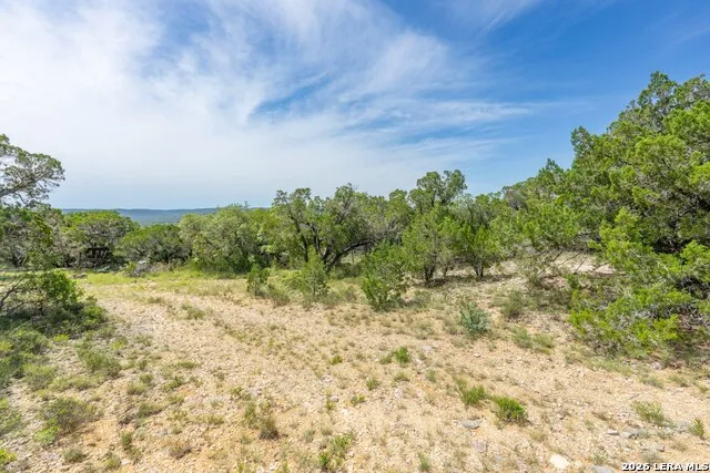 447 Blesssing Lane Utopia, TX 78884