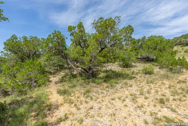 447 Blesssing Lane Utopia, TX 78884