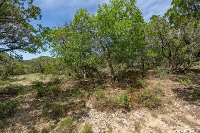 447 Blesssing Lane Utopia, TX 78884