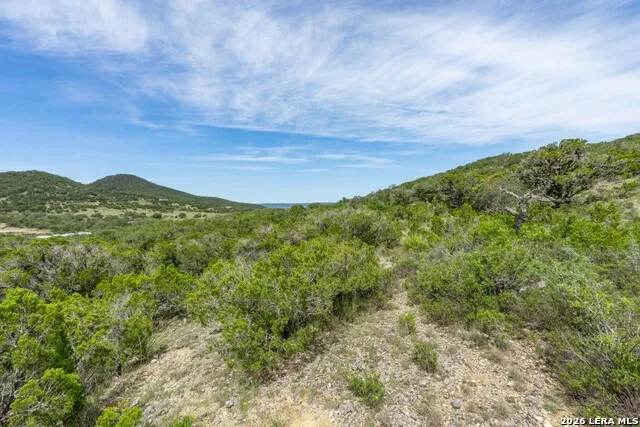 447 Blesssing Lane Utopia, TX 78884