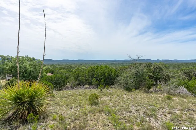 447 Blesssing Lane Utopia, TX 78884
