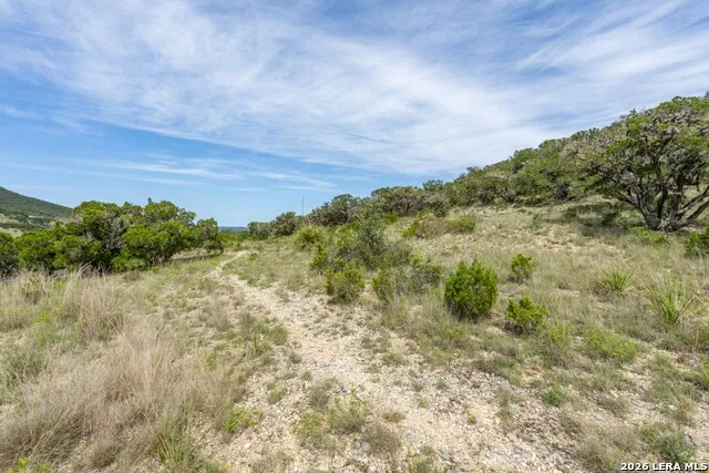 447 Blesssing Lane Utopia, TX 78884