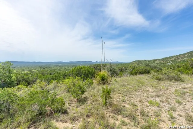 447 Blesssing Lane Utopia, TX 78884