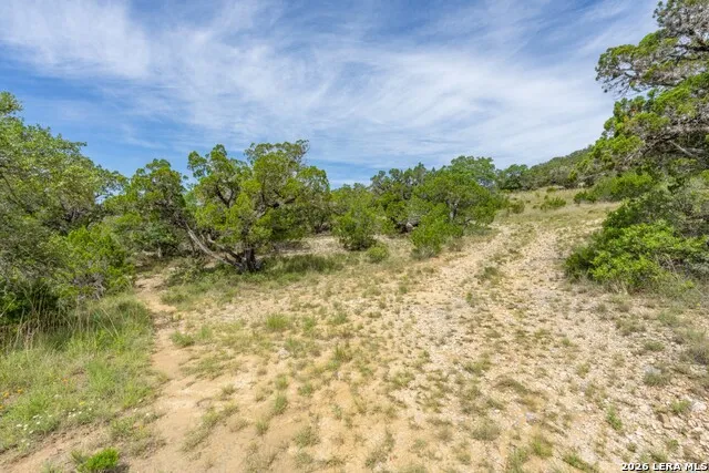 447 Blesssing Lane Utopia, TX 78884