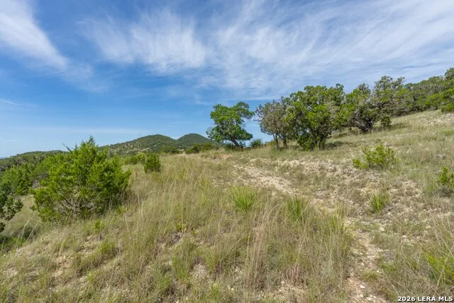 447 Blesssing Lane Utopia, TX 78884