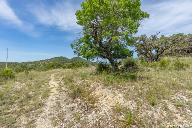 447 Blesssing Lane Utopia, TX 78884