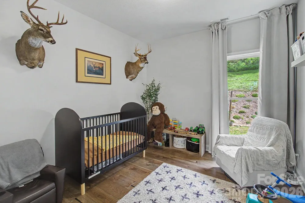 300 Green Meadow Lane Mars Hill, NC 28754