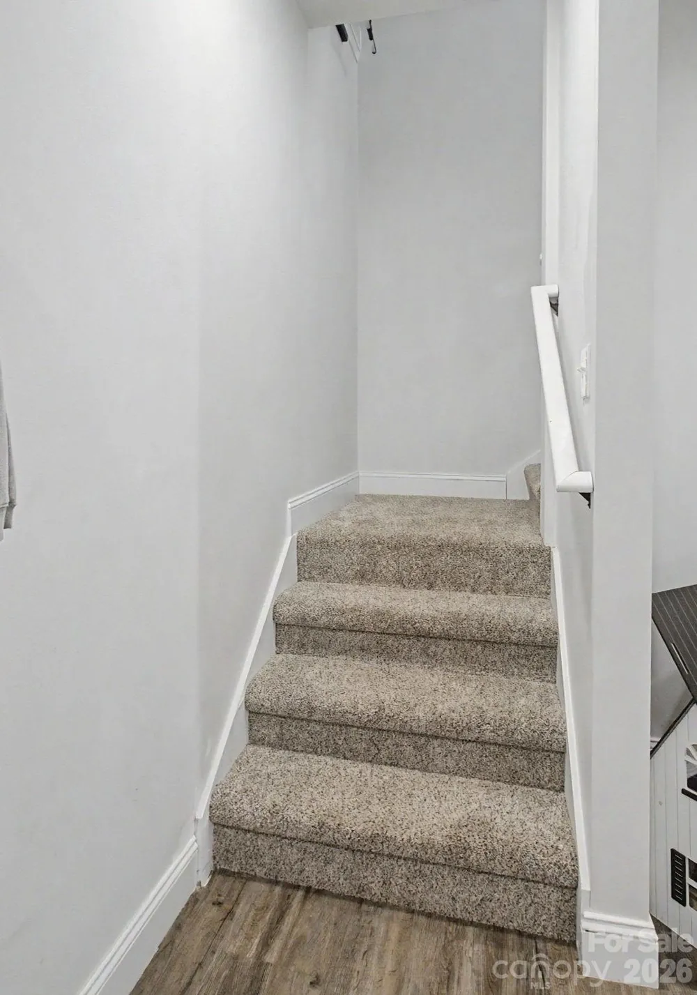 300 Green Meadow Lane Mars Hill, NC 28754