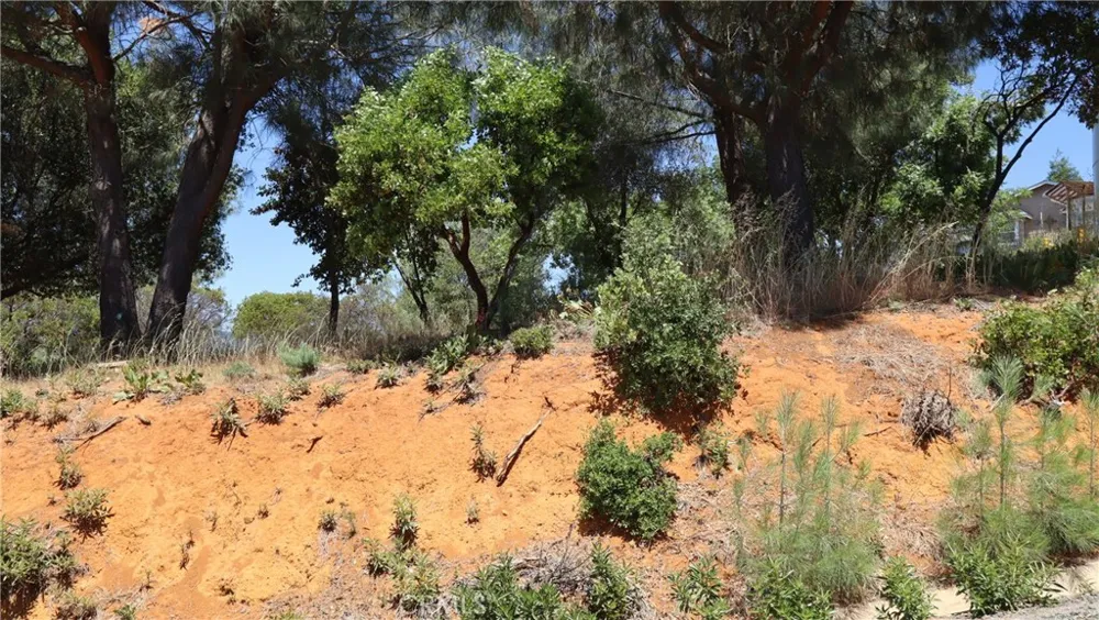 6940 Grande Vista Drive Kelseyville, CA 95451