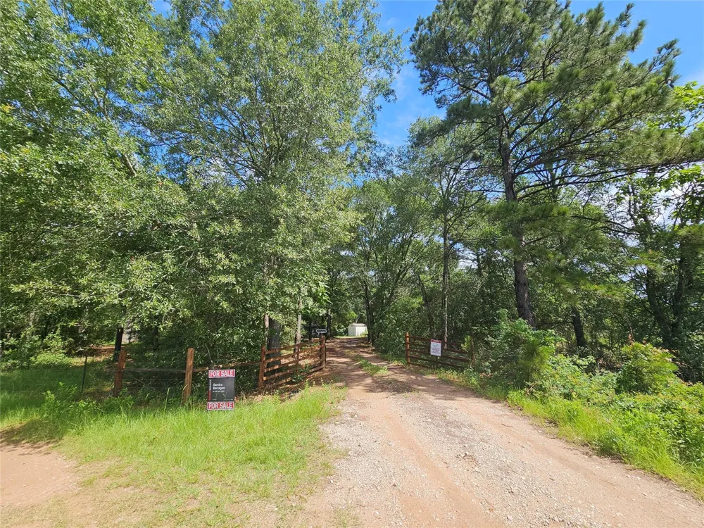 10299 Cox Lane Plantersville, TX 77363