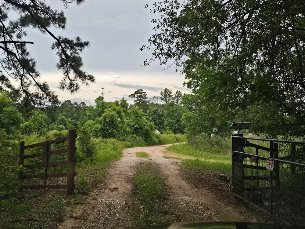 10299 Cox Lane Plantersville, TX 77363