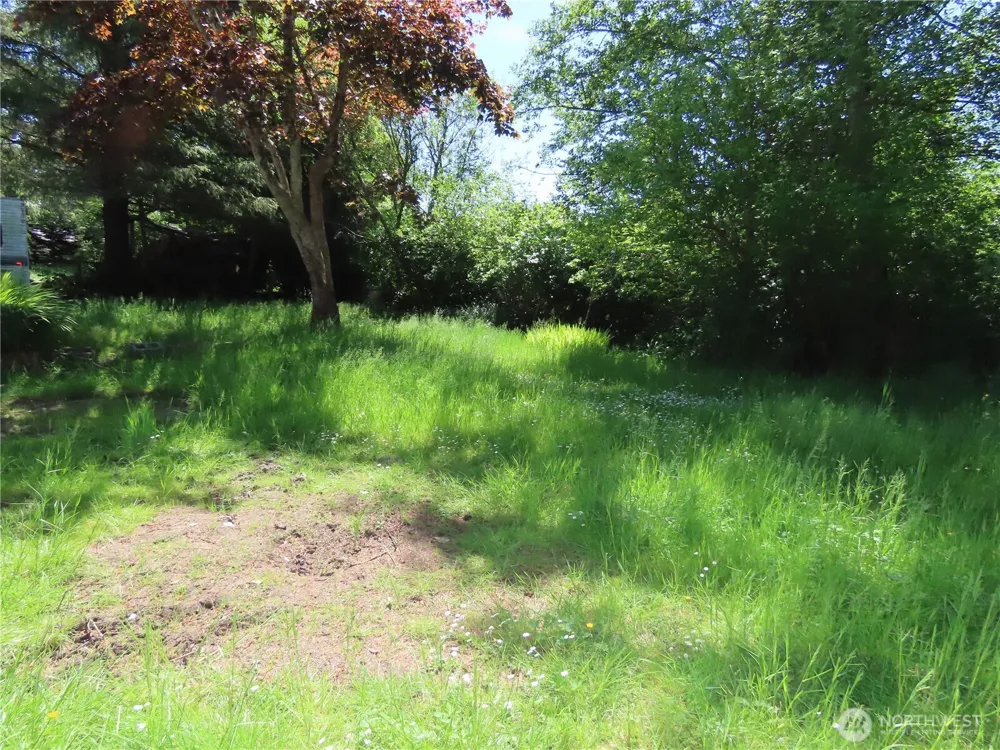 1047 Pine Street Grayland, WA 98547