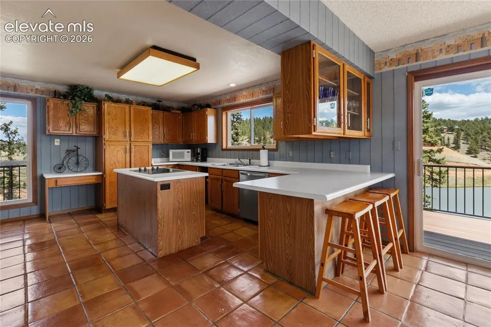 1506 Lake Place Divide, CO 80814