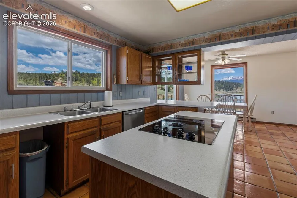 1506 Lake Place Divide, CO 80814