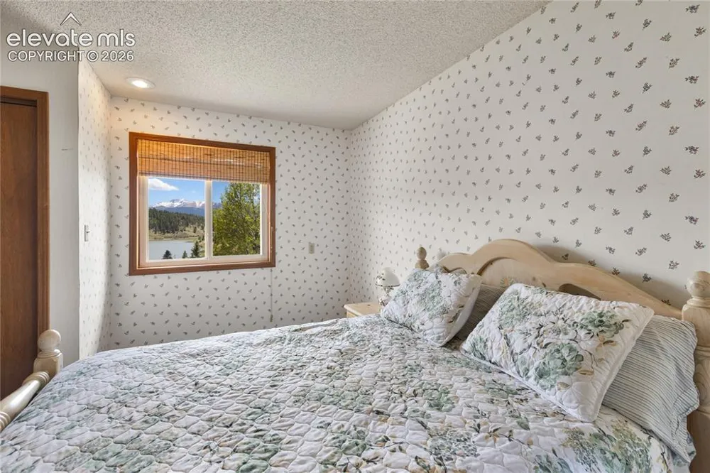 1506 Lake Place Divide, CO 80814