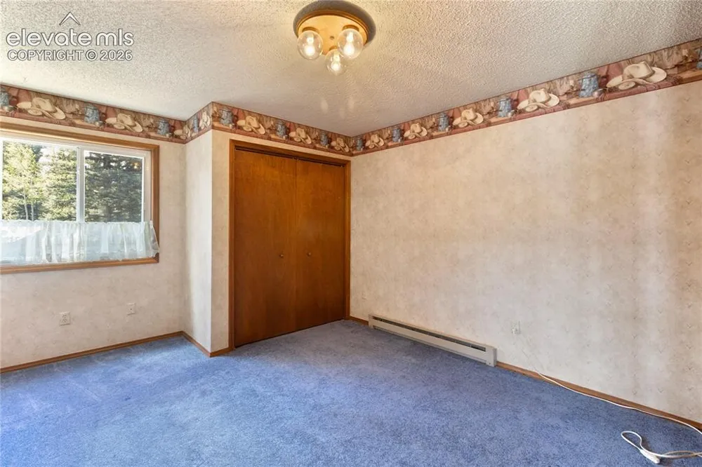 1506 Lake Place Divide, CO 80814