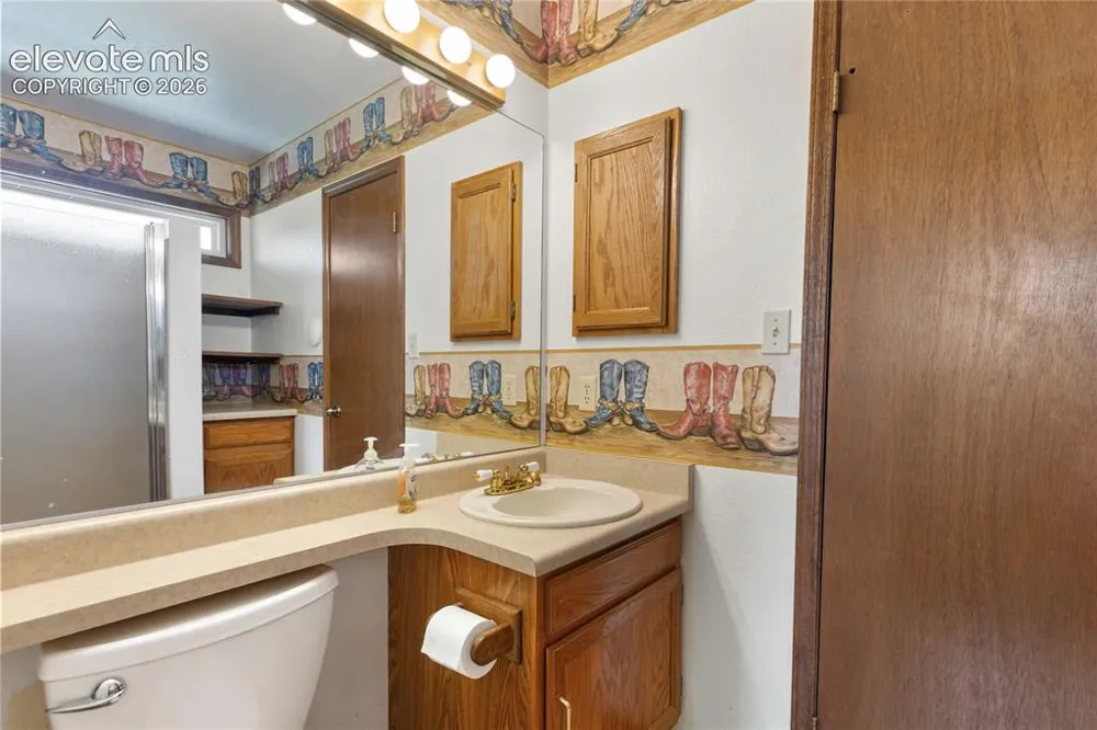 1506 Lake Place Divide, CO 80814
