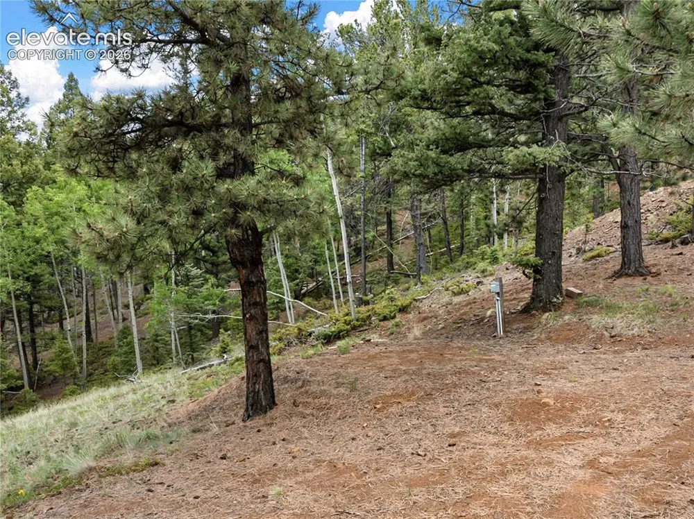 3043 County Road 1 Cripple Creek, CO 80813