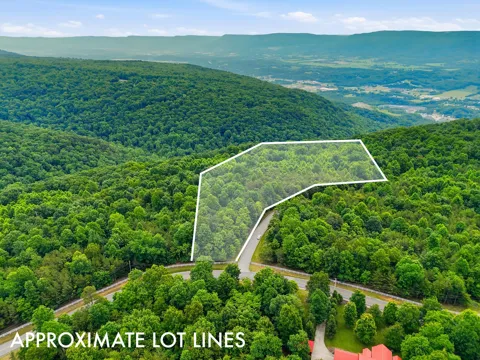 Bluff View Drive
