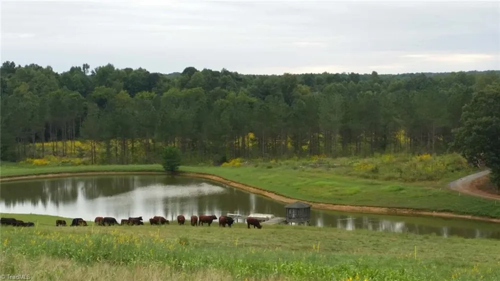 3175 Trotter Road Asheboro, NC 27205