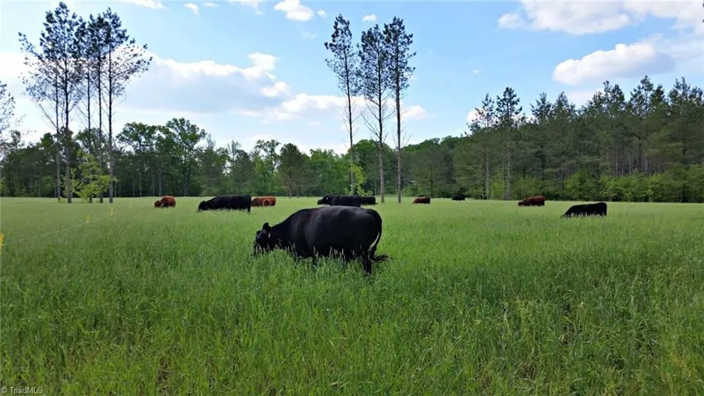 3175 Trotter Road Asheboro, NC 27205